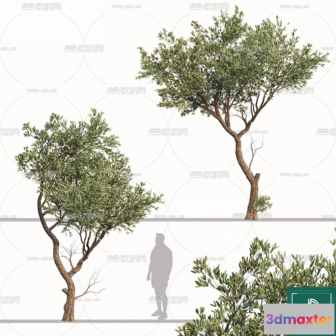 1373511 - Tree 3D Models - Exterior and Architecture 3DS Max - 139 3D Max