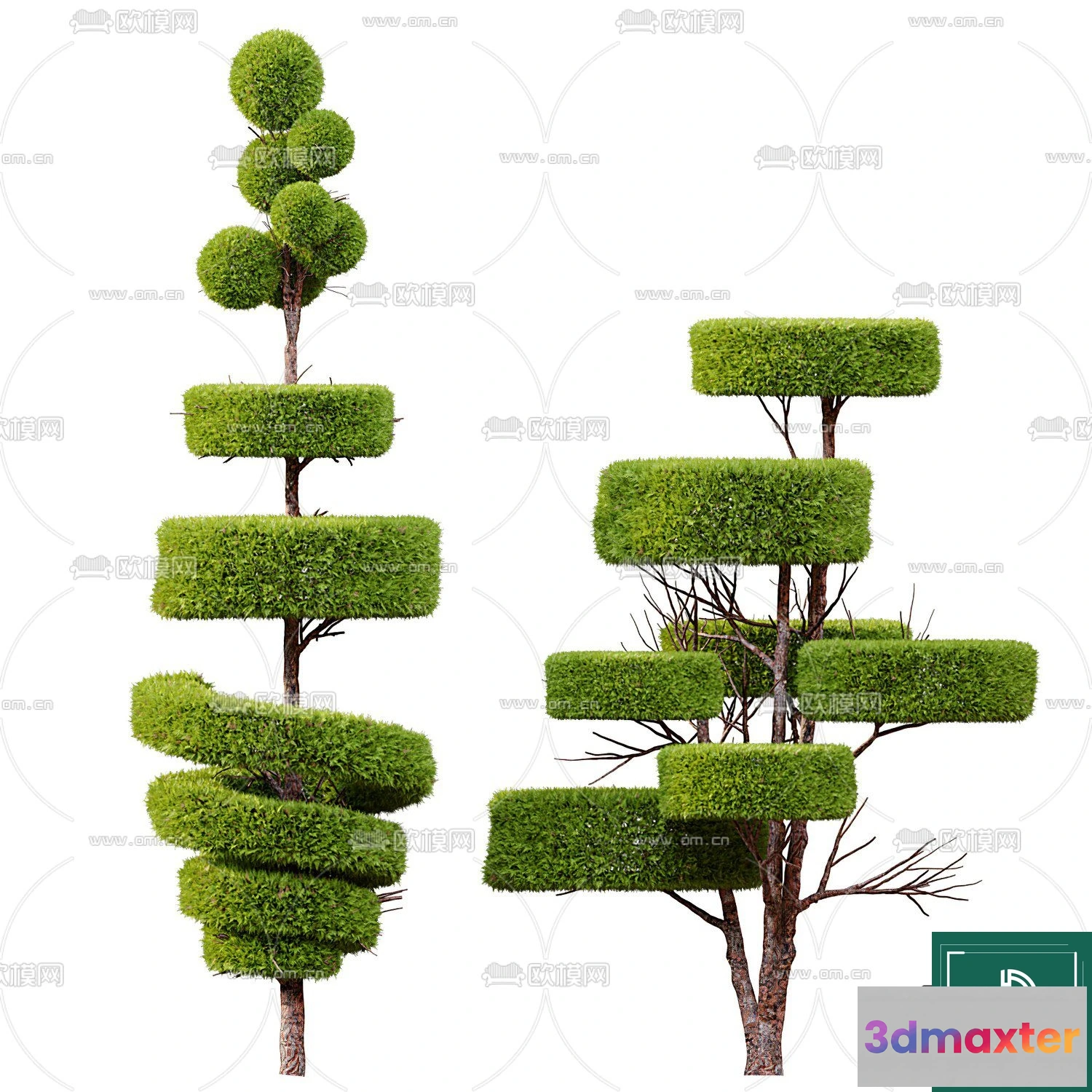 1373576 - Tree 3D Models - Exterior and Architecture 3DS Max - 140 3D Max