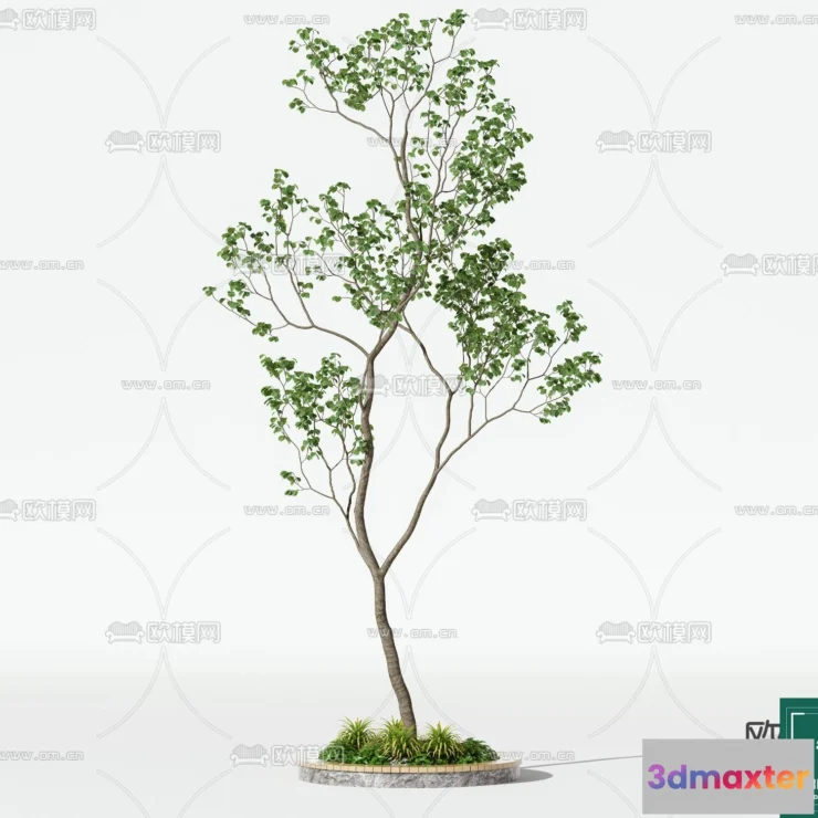 1373700 - Tree 3D Models - Exterior and Architecture 3DS Max - 142 3D Max