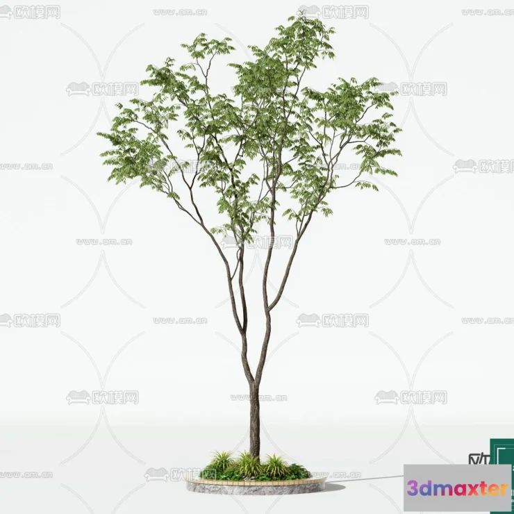 1373893 - Tree 3D Models - Exterior and Architecture 3DS Max - 145 3D Max