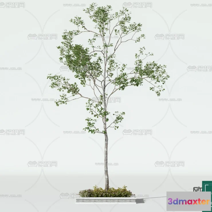 1374097 - Tree 3D Models - Exterior and Architecture 3DS Max - 148 3D Max