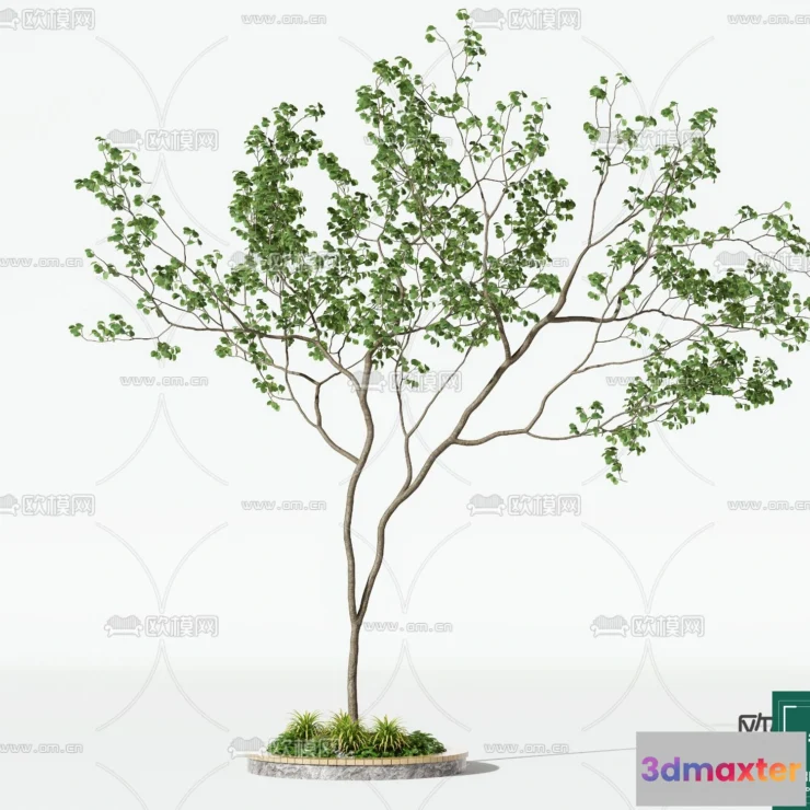 1374349 - Tree 3D Models - Exterior and Architecture 3DS Max - 152 3D Max