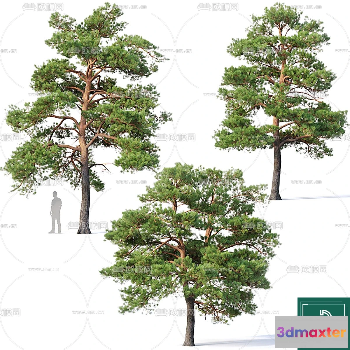 1374473 - Tree 3D Models - Exterior and Architecture 3DS Max - 154 3D Max