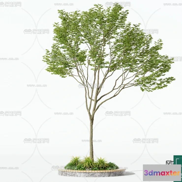 1375187 - Tree 3D Models - Exterior and Architecture 3DS Max - 165 3D Max