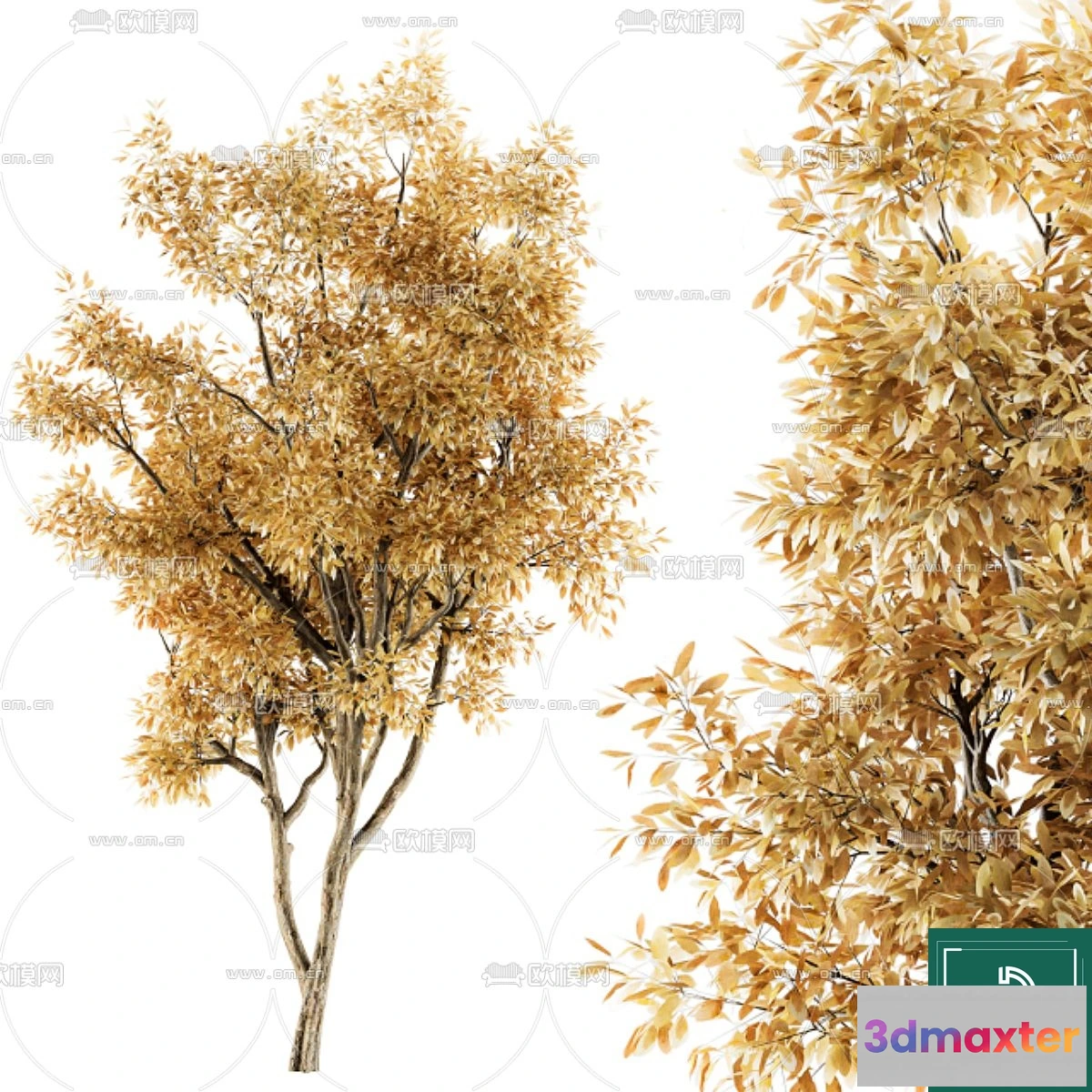 1375393 - Tree 3D Models - Exterior and Architecture 3DS Max - 168 3D Max