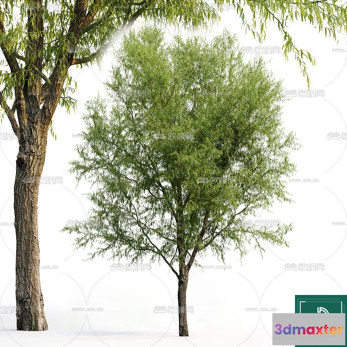1375457 - Tree 3D Models - Exterior and Architecture 3DS Max - 169 3D Max