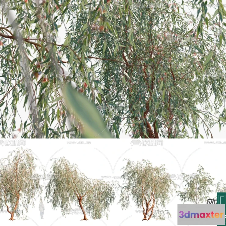 1375527 - Tree 3D Models - Exterior and Architecture 3DS Max - 170 3D Max