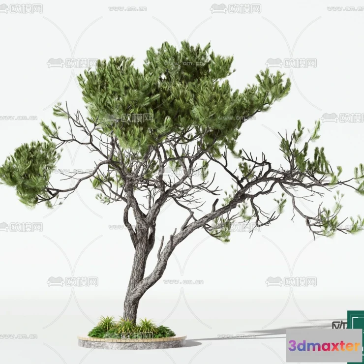 1375723 - Tree 3D Models - Exterior and Architecture 3DS Max - 173 3D Max