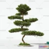 1375787 - Tree 3D Models - Exterior and Architecture 3DS Max - 174 3D Max