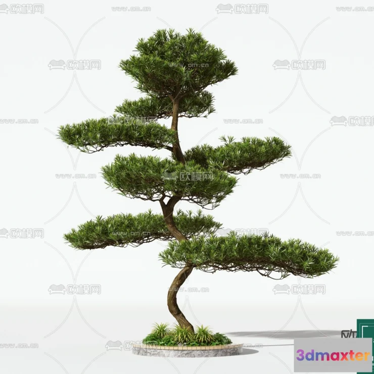 1375787 - Tree 3D Models - Exterior and Architecture 3DS Max - 174 3D Max