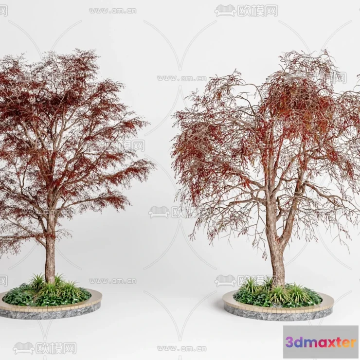 1375852 - Tree 3D Models - Exterior and Architecture 3DS Max - 175 3D Max