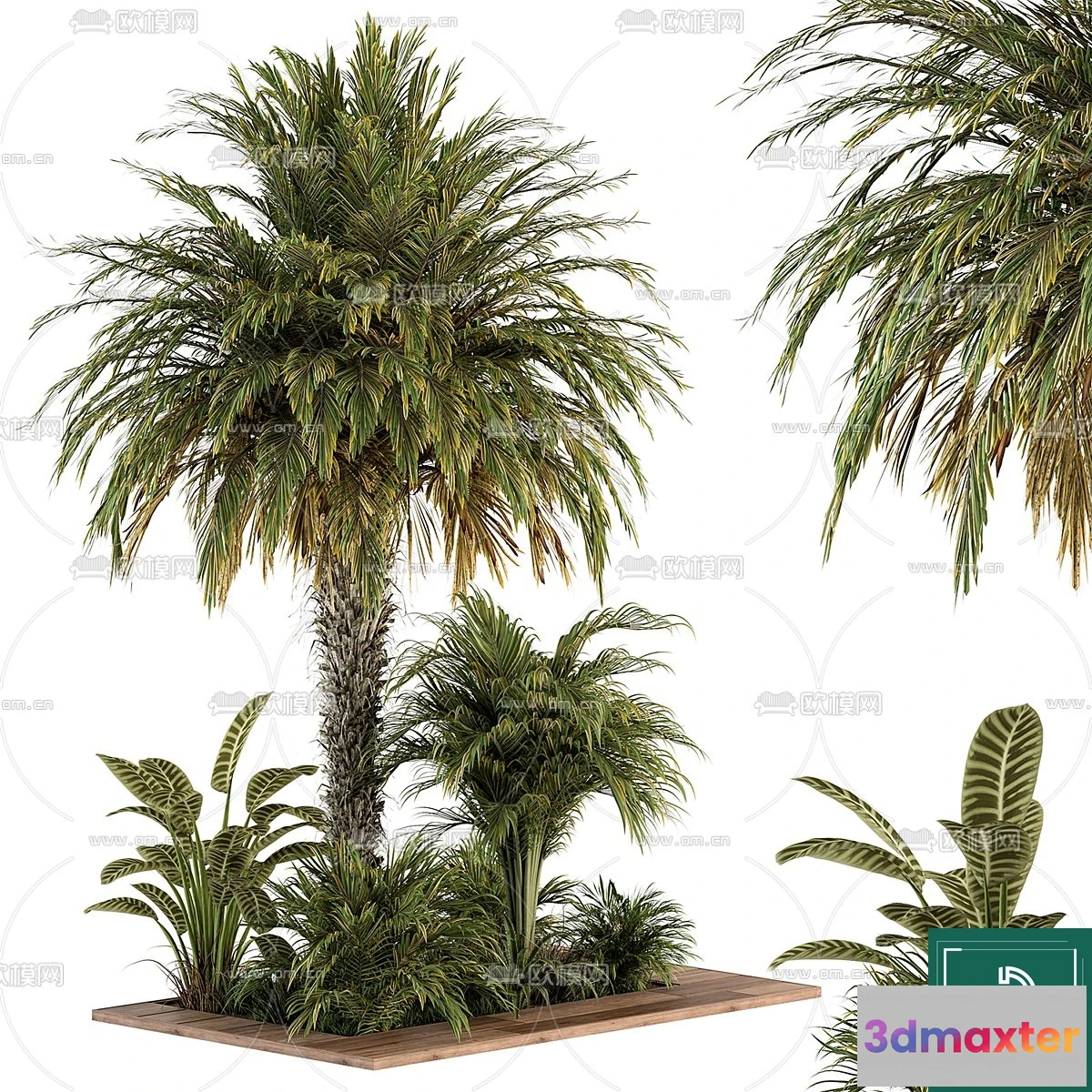 1375995 - Tree 3D Models - Exterior and Architecture 3DS Max - 177 3D Max