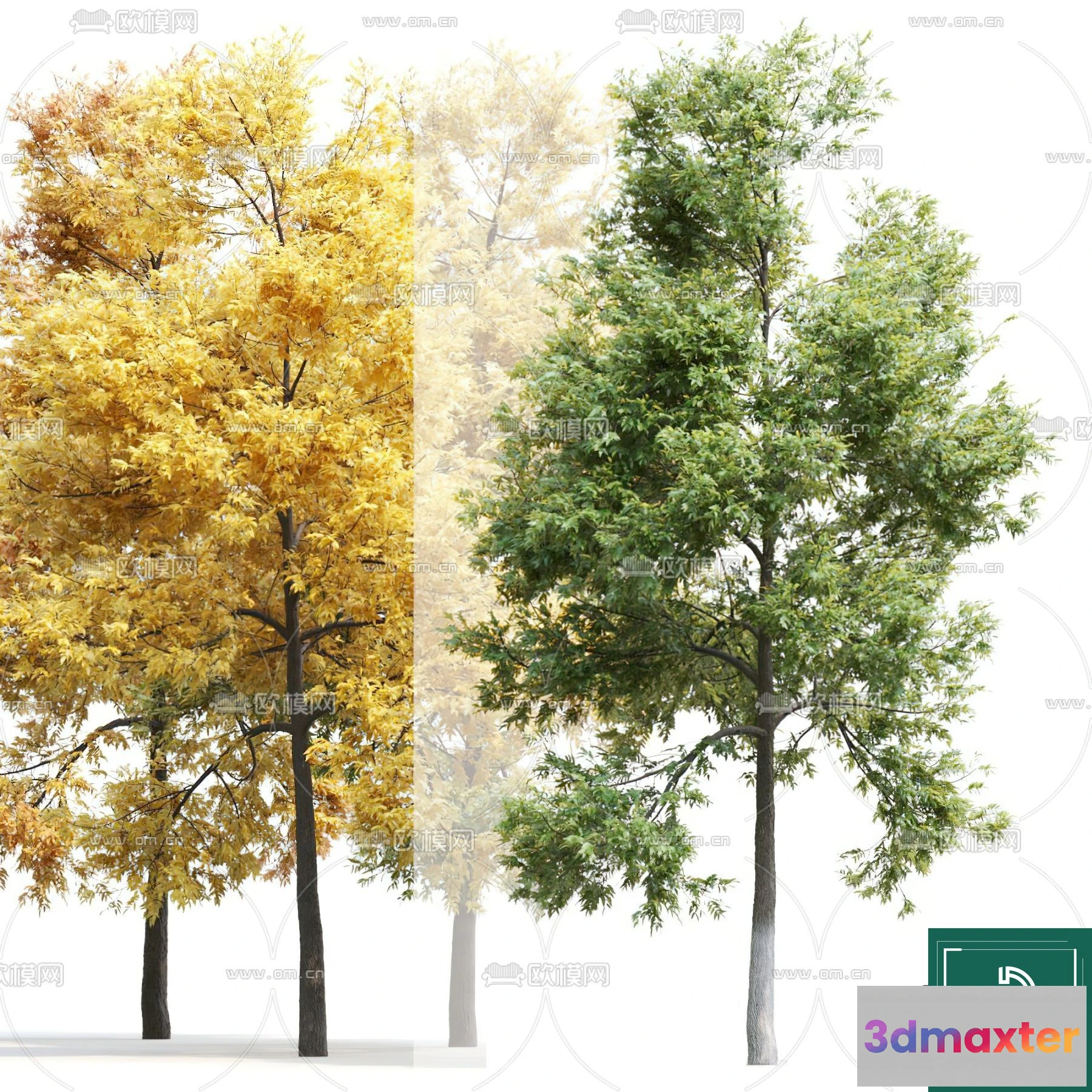 1376057 - Tree 3D Models - Exterior and Architecture 3DS Max - 178 3D Max