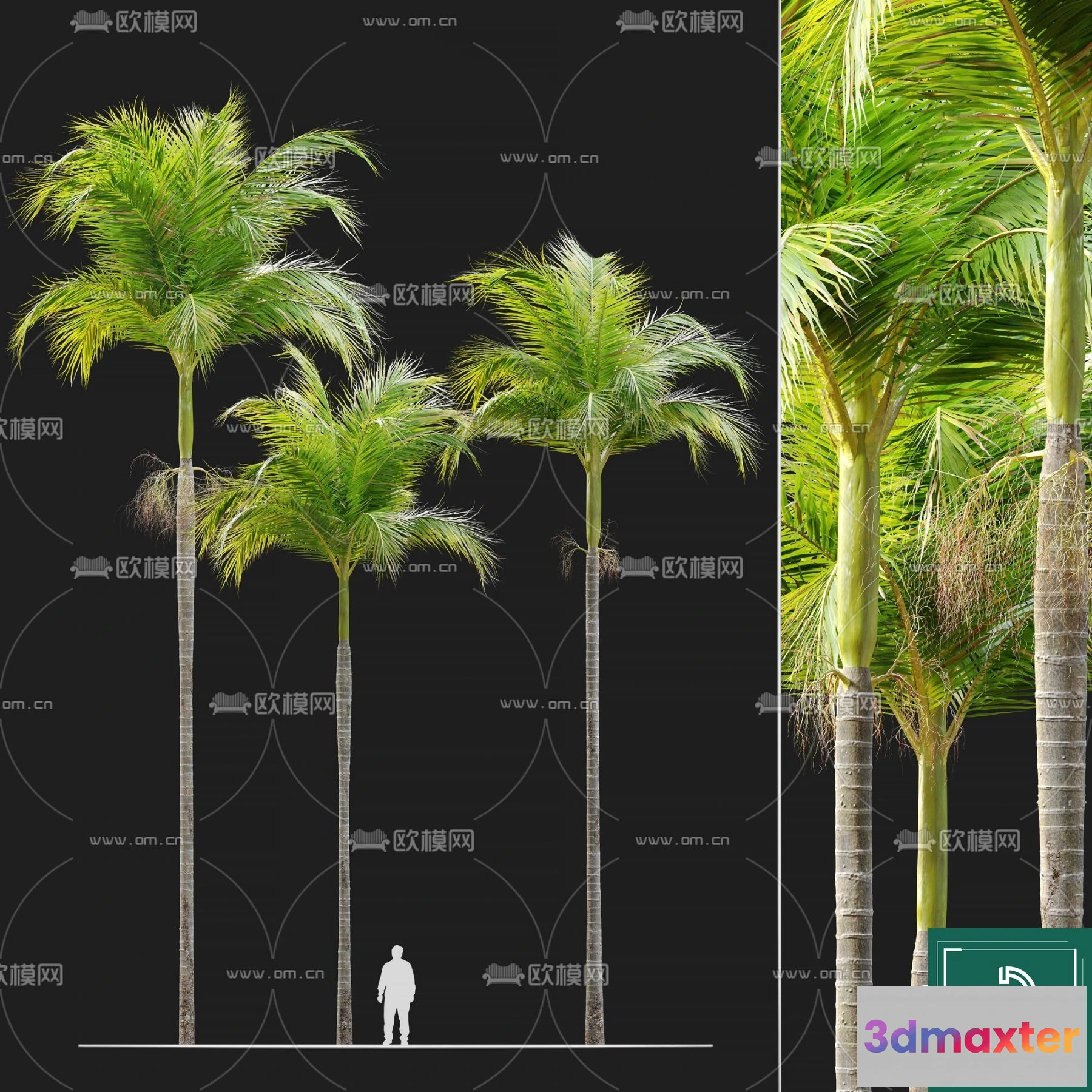1376119 - Tree 3D Models - Exterior and Architecture 3DS Max - 179 3D Max