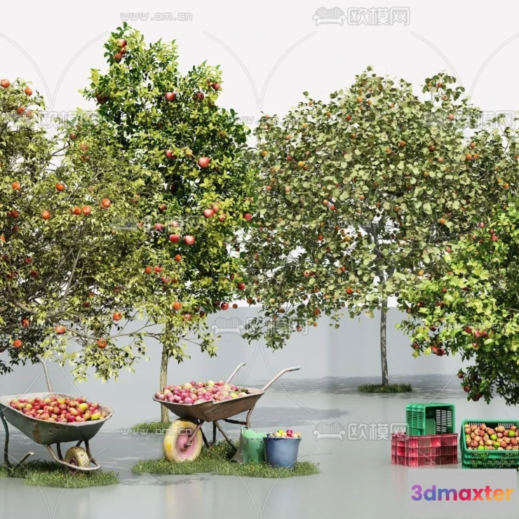 1376183 - Tree 3D Models - Exterior and Architecture 3DS Max - 180 3D Max