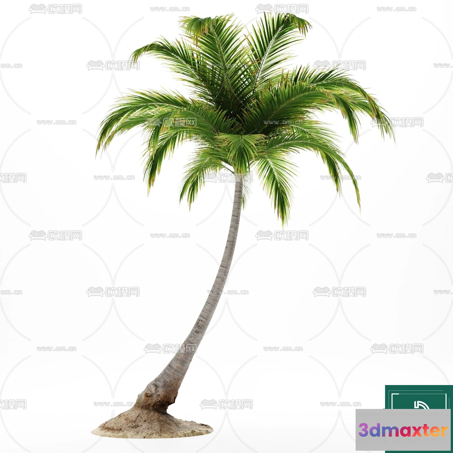 1376322 - Tree 3D Models - Exterior and Architecture 3DS Max - 182 3D Max