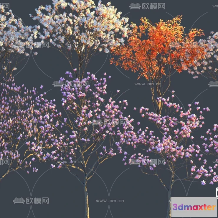 1376391 - Tree 3D Models - Exterior and Architecture 3DS Max - 183 3D Max