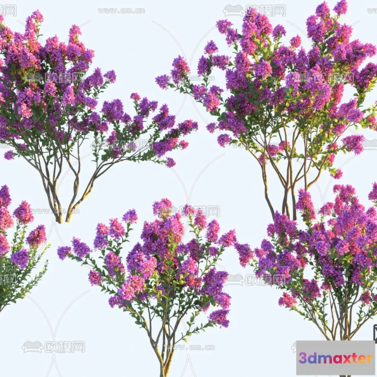 1376451 - Tree 3D Models - Exterior and Architecture 3DS Max - 184 3D Max