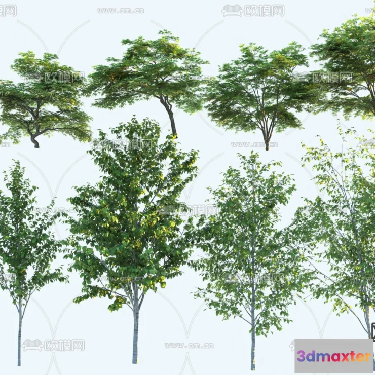 1376530 - Tree 3D Models - Exterior and Architecture 3DS Max - 185 3D Max