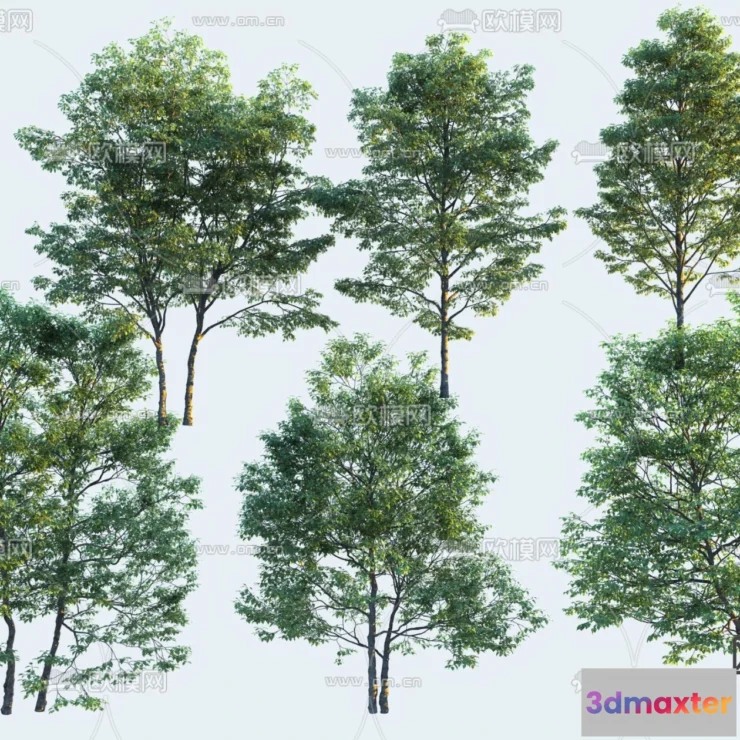 1376652 - Tree 3D Models - Exterior and Architecture 3DS Max - 187 3D Max