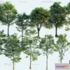 1376716 - Tree 3D Models - Exterior and Architecture 3DS Max - 188 3D Max