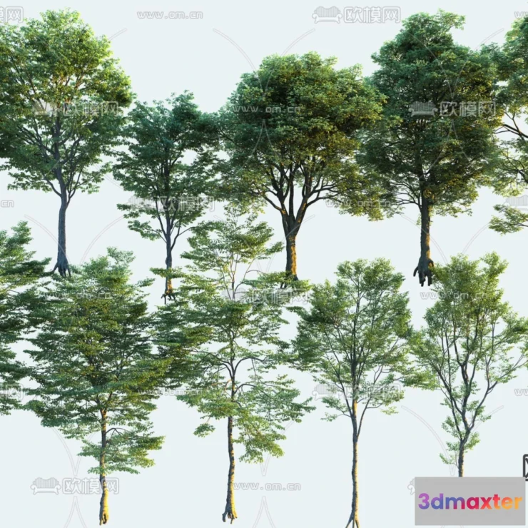 1376716 - Tree 3D Models - Exterior and Architecture 3DS Max - 188 3D Max