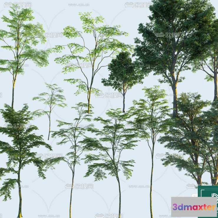 1376848 - Tree 3D Models - Exterior and Architecture 3DS Max - 190 3D Max