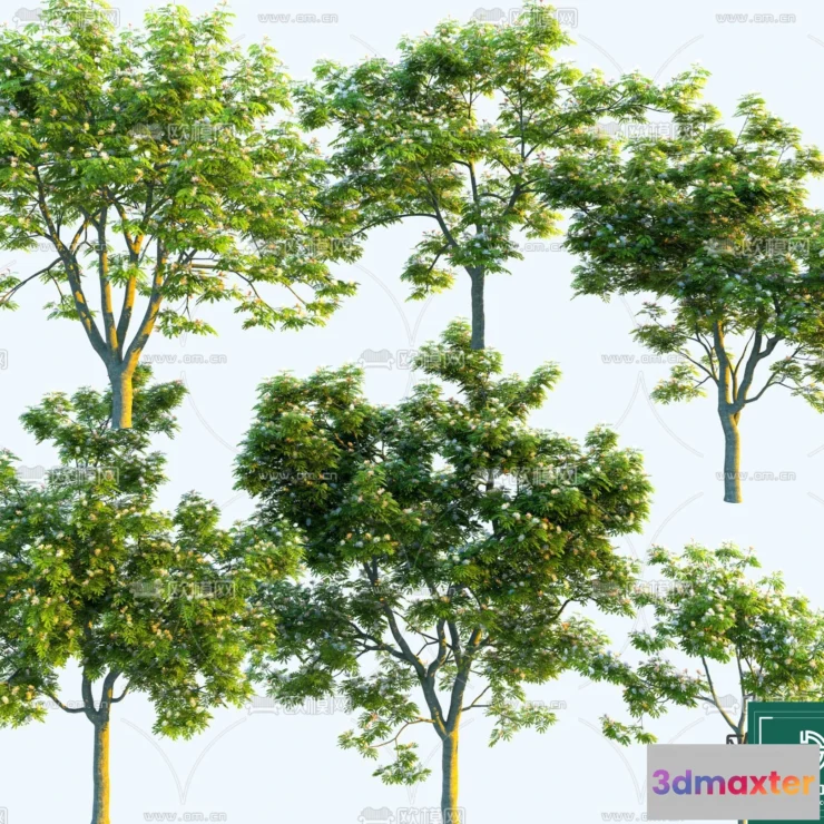 1377043 - Tree 3D Models - Exterior and Architecture 3DS Max - 193 3D Max