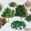 1377105 - Tree 3D Models - Exterior and Architecture 3DS Max - 194 3D Max