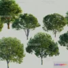 1377228 - Tree 3D Models - Exterior and Architecture 3DS Max - 196 3D Max