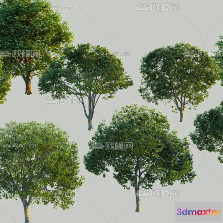 1377228 - Tree 3D Models - Exterior and Architecture 3DS Max - 196 3D Max