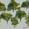1377299 - Tree 3D Models - Exterior and Architecture 3DS Max - 197 3D Max