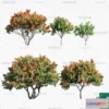 1377361 - Tree 3D Models - Exterior and Architecture 3DS Max - 198 3D Max