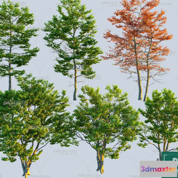 1377427 - Tree 3D Models - Exterior and Architecture 3DS Max - 199 3D Max