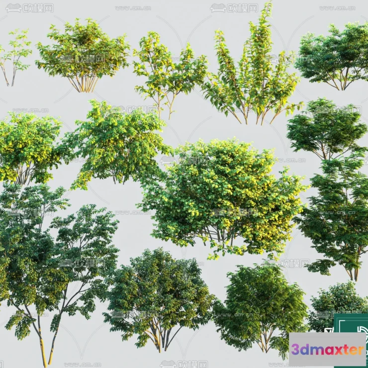 1377521 - Tree 3D Models - Exterior and Architecture 3DS Max - 200 3D Max