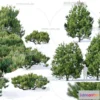 1377585 - Tree 3D Models - Exterior and Architecture 3DS Max - 201 3D Max