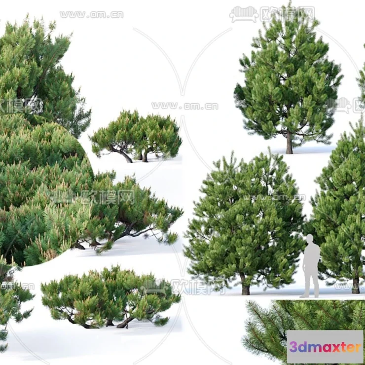 1377585 - Tree 3D Models - Exterior and Architecture 3DS Max - 201 3D Max