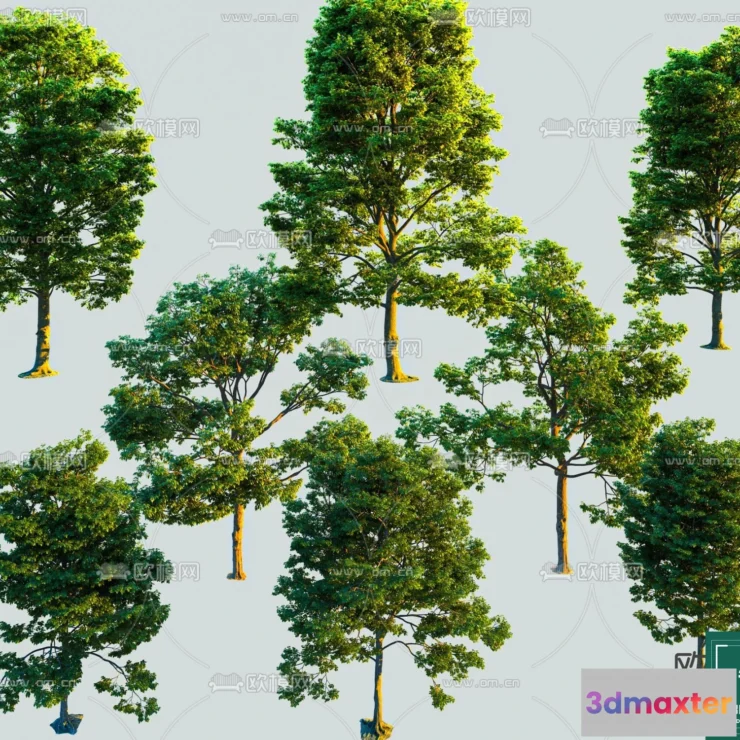1377654 - Tree 3D Models - Exterior and Architecture 3DS Max - 202 3D Max
