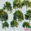 1377796 - Tree 3D Models - Exterior and Architecture 3DS Max - 204 3D Max