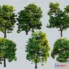 1377942 - Tree 3D Models - Exterior and Architecture 3DS Max - 206 3D Max