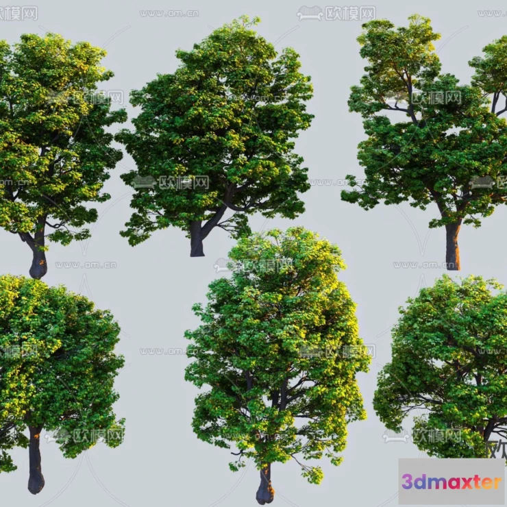 1377942 - Tree 3D Models - Exterior and Architecture 3DS Max - 206 3D Max