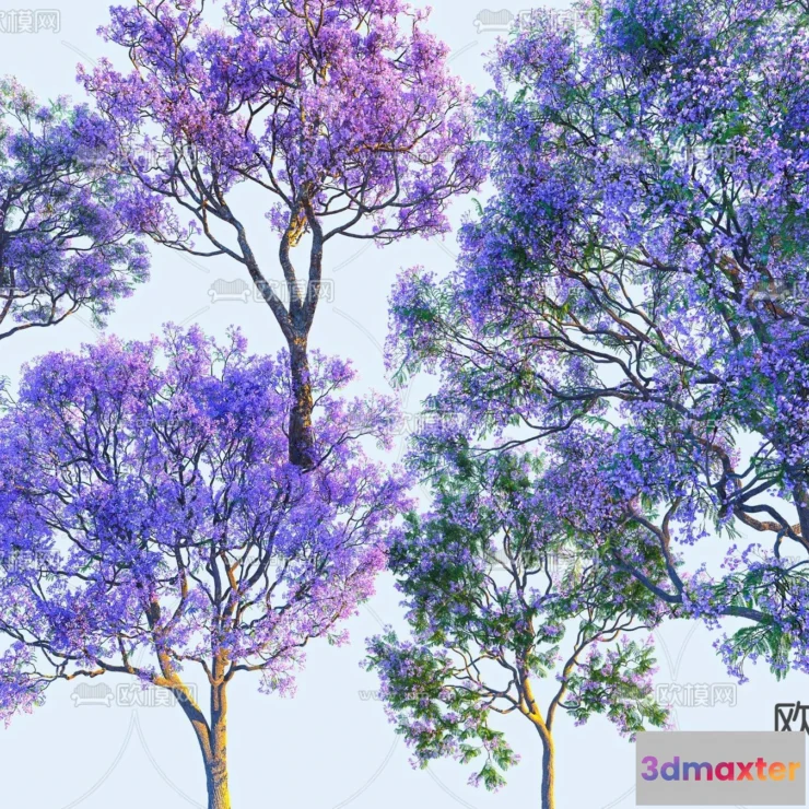 1378199 - Tree 3D Models - Exterior and Architecture 3DS Max - 210 3D Max