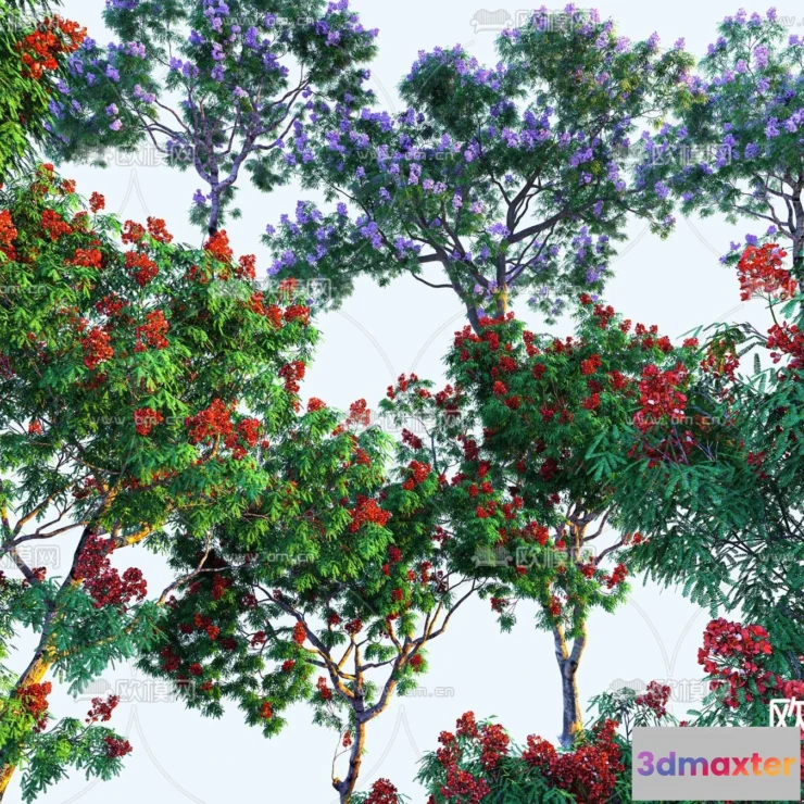 1378266 - Tree 3D Models - Exterior and Architecture 3DS Max - 211 3D Max