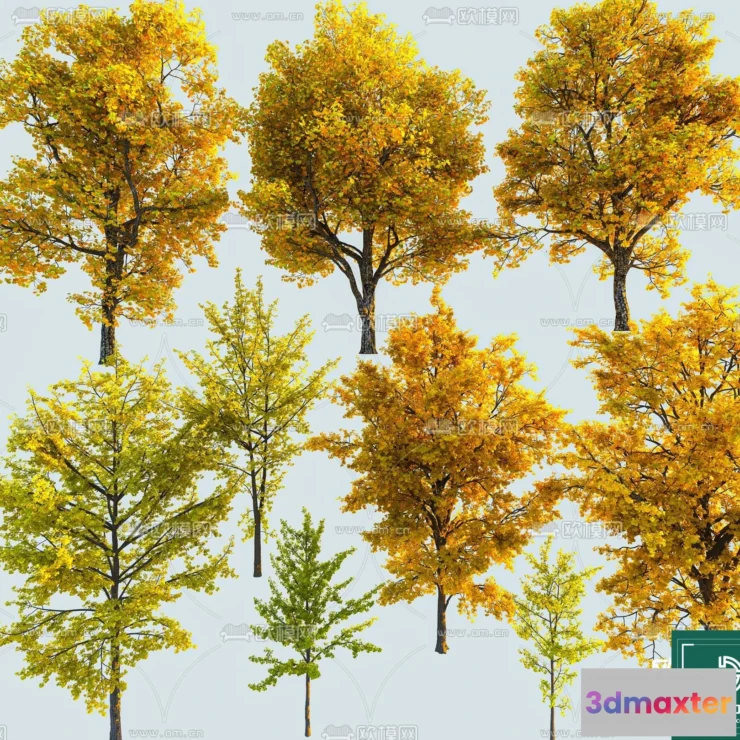 1378333 - Tree 3D Models - Exterior and Architecture 3DS Max - 212 3D Max