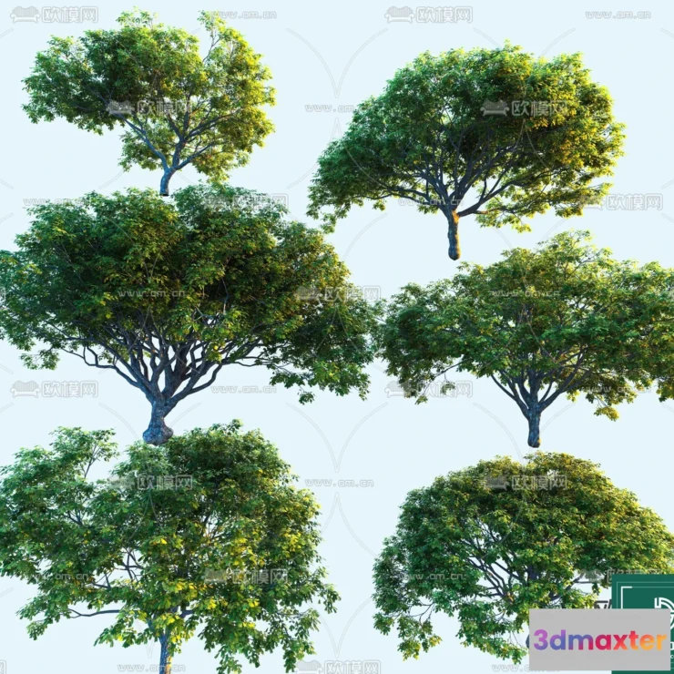 1378401 - Tree 3D Models - Exterior and Architecture 3DS Max - 213 3D Max