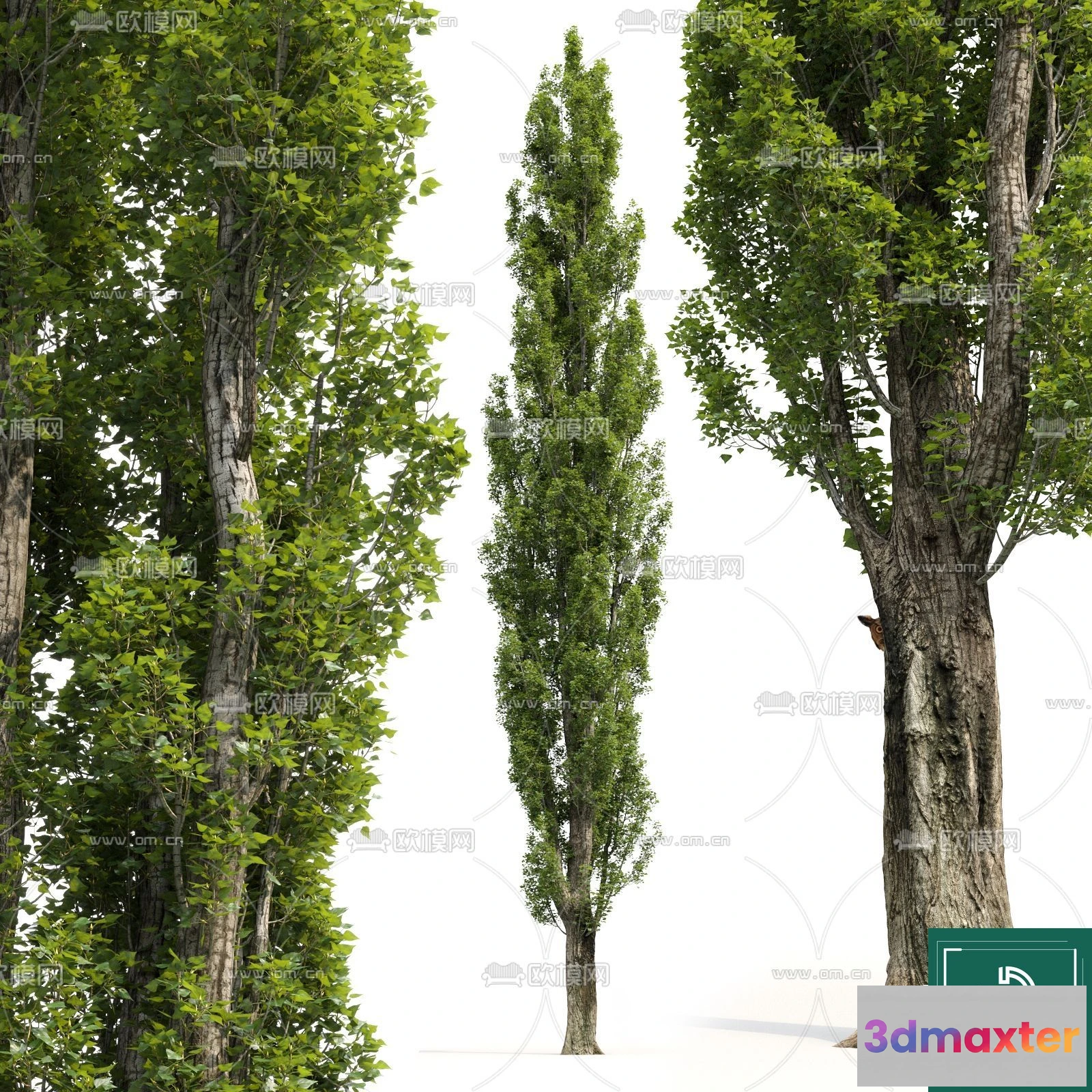 1378463 - Tree 3D Models - Exterior and Architecture 3DS Max - 214 3D Max