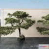 1378529 - Tree 3D Models - Exterior and Architecture 3DS Max - 215 3D Max
