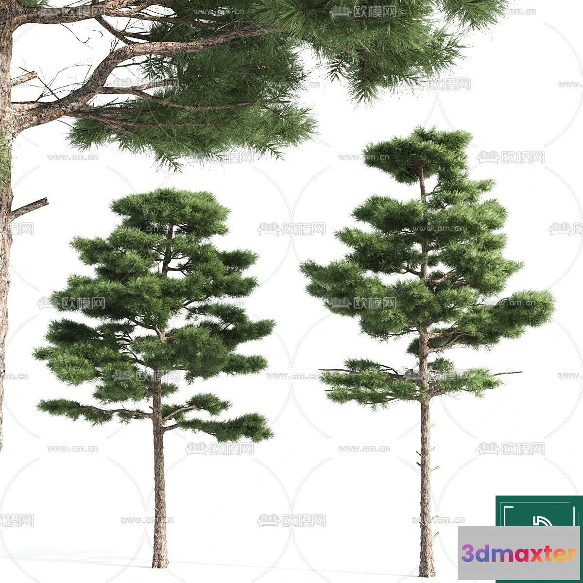 1378587 - Tree 3D Models - Exterior and Architecture 3DS Max - 216 3D Max