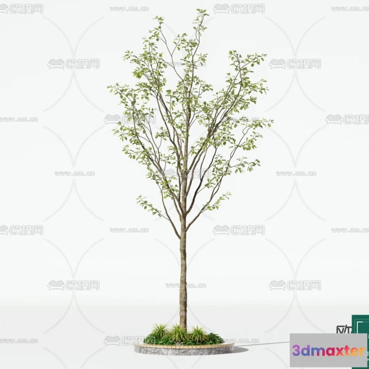 1379014 - Tree 3D Models - Exterior and Architecture 3DS Max - 222 3D Max