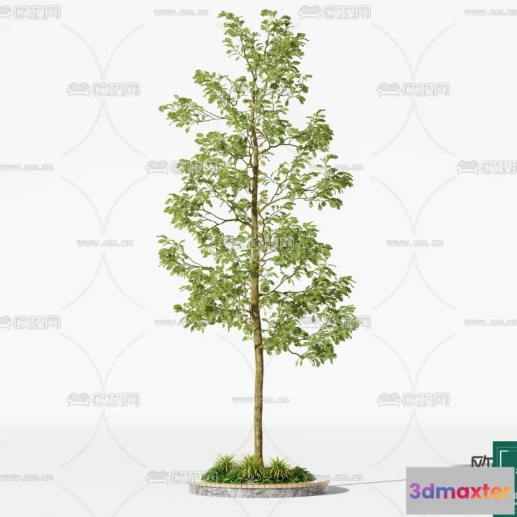 1379065 - Tree 3D Models - Exterior and Architecture 3DS Max - 223 3D Max